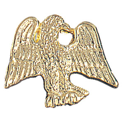 Chenille Eagle Pin
